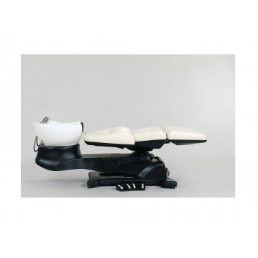 Мойка парикмахерская "Destiny"