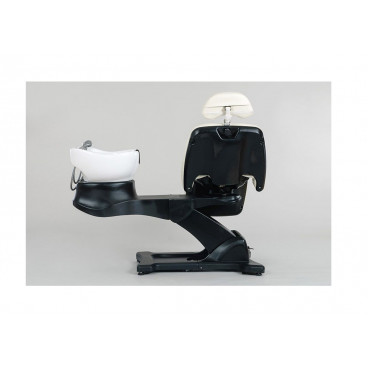 Мойка парикмахерская "Destiny"